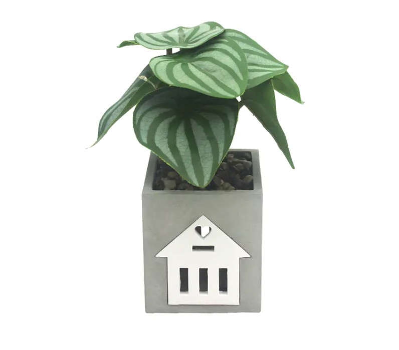 Là đèn xi măng LED tương thích với các hệ thống nhà thông minh, để điều khiển bằng giọng nói và tự động hóa?